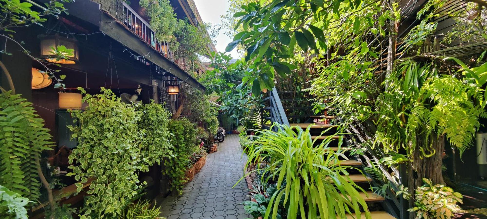 Hoh Guesthouse Chiang Mai Exterior photo
